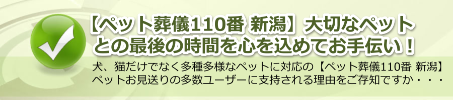 【ペット葬儀110番 新潟】大切なペットとの最後の時間を心を込めてお手伝い